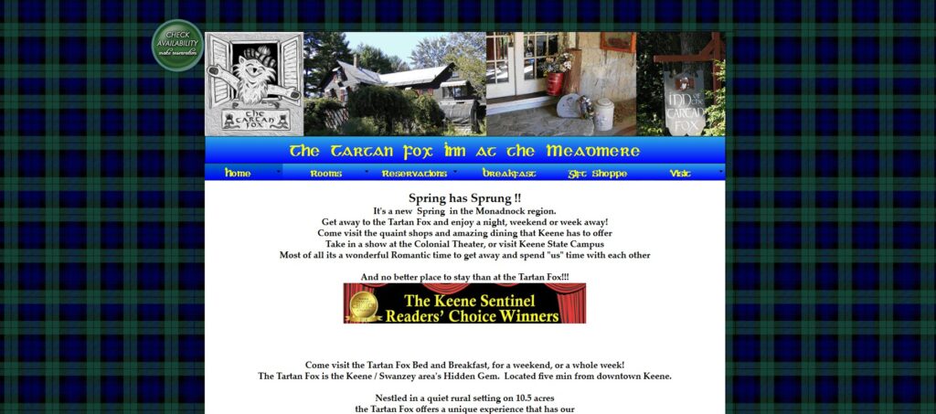 A dated website layout before redesign